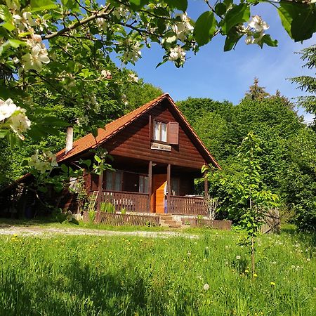 Casa Lacramioara Villa Sîmbăta de Sus Екстериор снимка