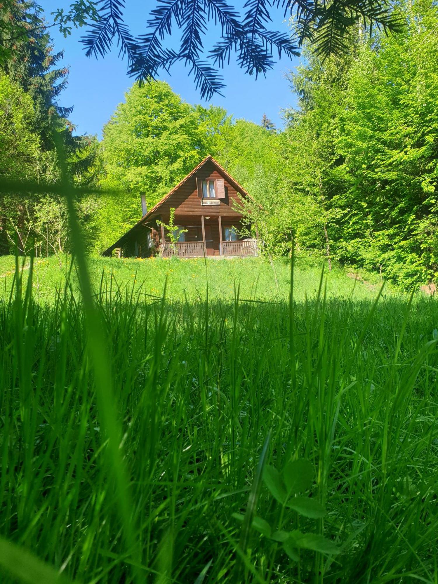 Casa Lacramioara Sîmbăta de Sus Екстериор снимка