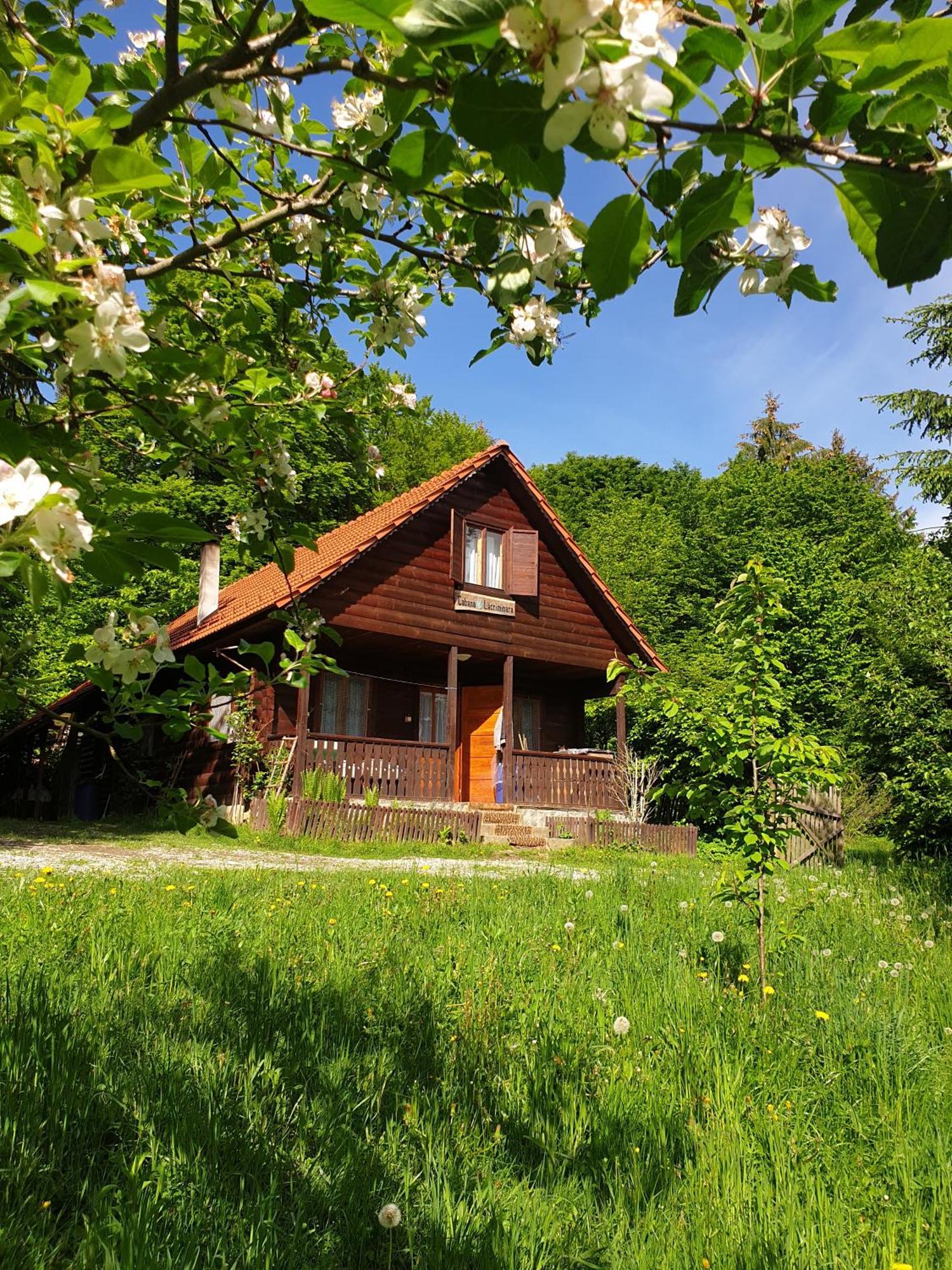Casa Lacramioara Sîmbăta de Sus Екстериор снимка