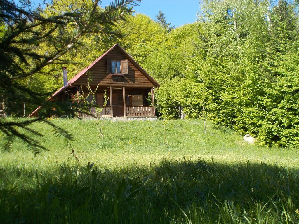 Casa Lacramioara Sîmbăta de Sus Екстериор снимка